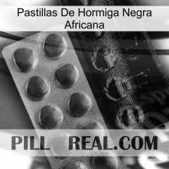 African Black Ant Pills new04